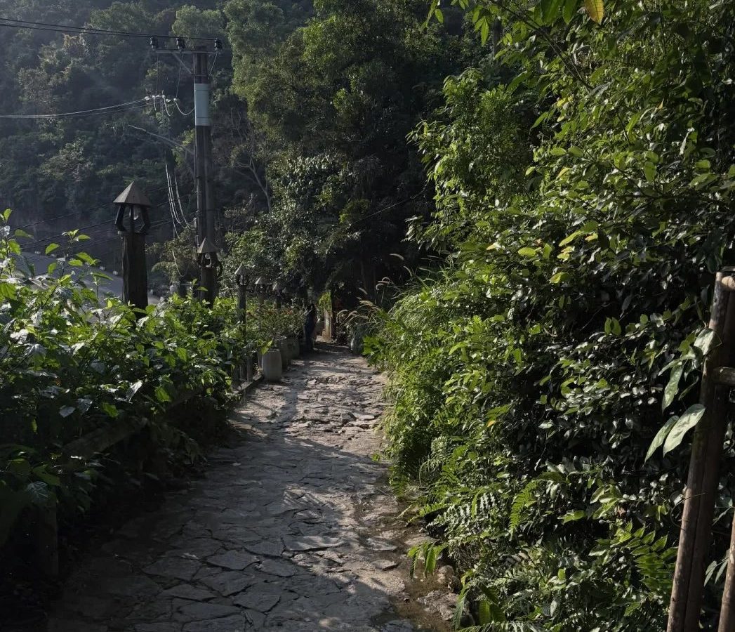 避坑要点：四类常见问题 · 国际生活场景